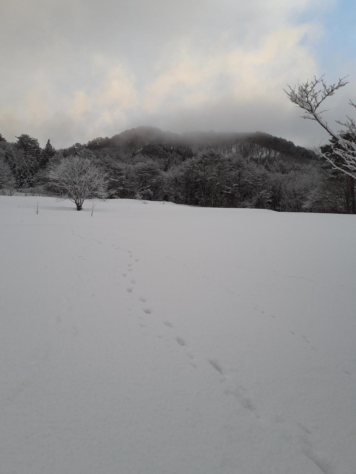 Tanehachi Farm Guesthouse - Vacation Stay 29709V Aomori Exterior photo